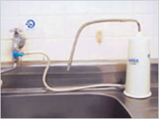 ɸ�����դ�